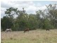 198 Boys Road, Alton Downs QLD 4702