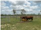 198 Boys Road, Alton Downs QLD 4702