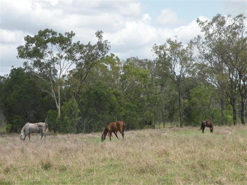 198 Boys Road, Alton Downs QLD 4702