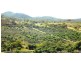 1 Camoo Caves Road, The Caves QLD 4702