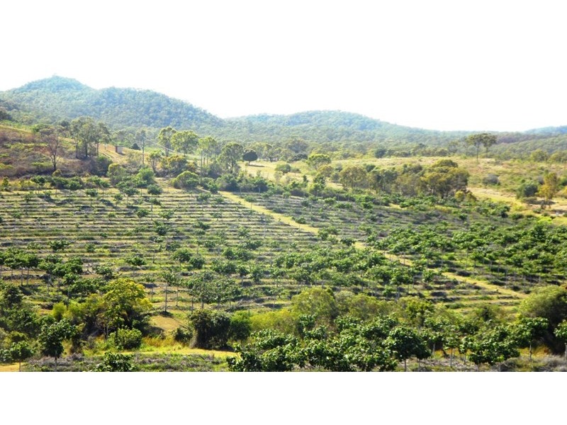 1 Camoo Caves Road, The Caves QLD 4702