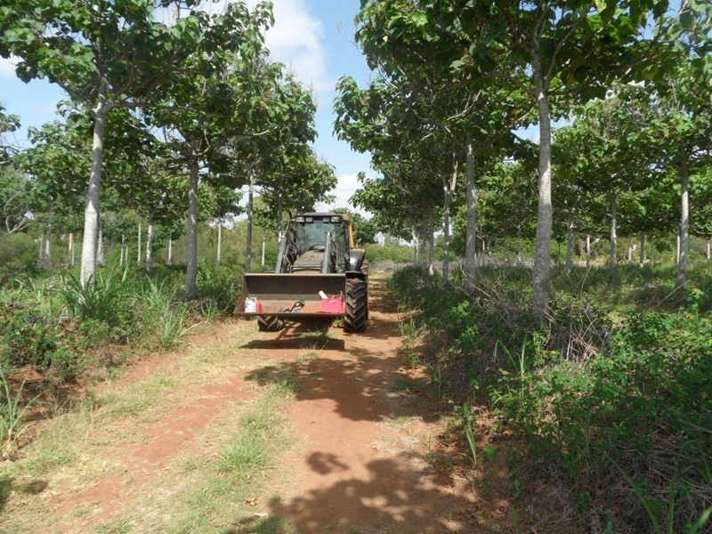 1 Camoo Caves Road, The Caves QLD 4702