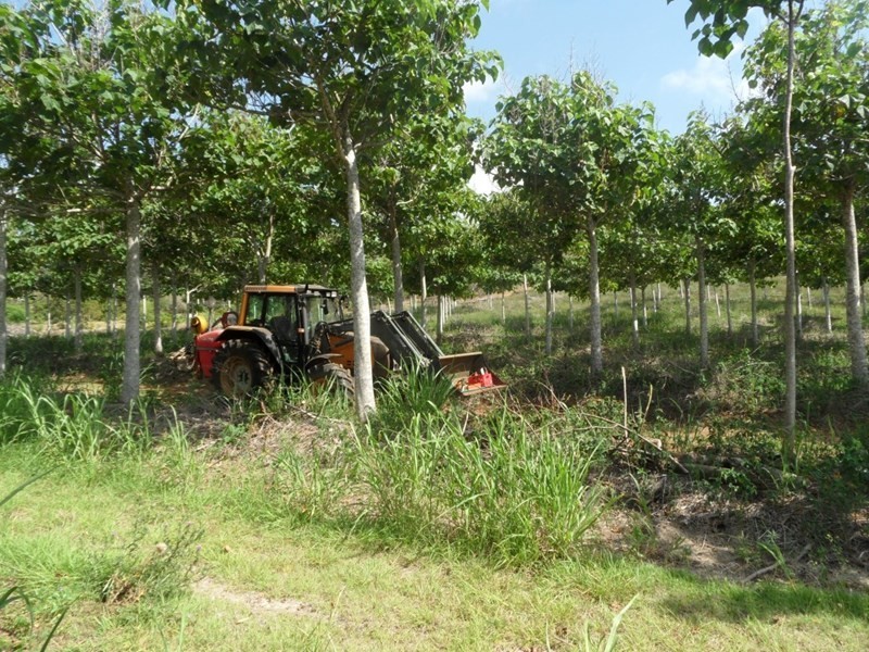 1 Camoo Caves Road, The Caves QLD 4702