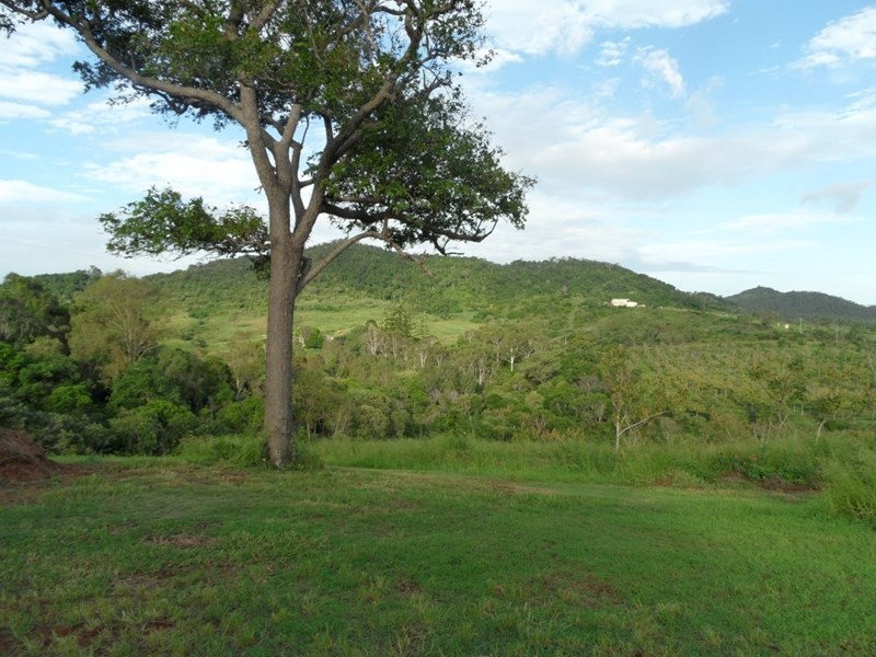 1 Camoo Caves Road, The Caves QLD 4702