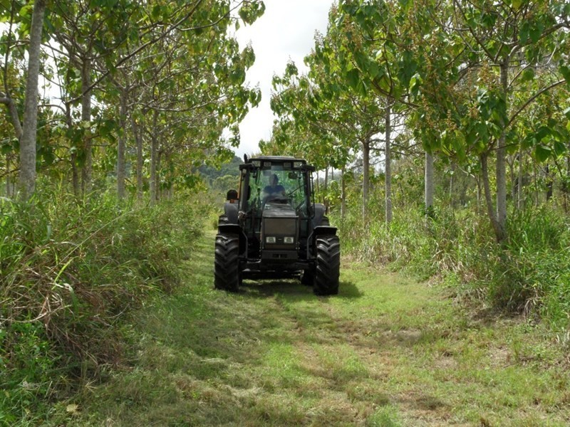 1 Camoo Caves Road, The Caves QLD 4702