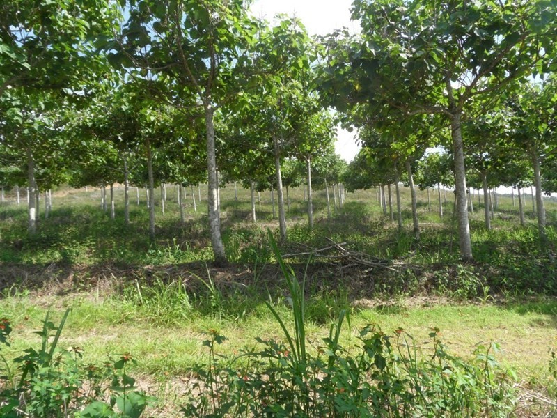 1 Camoo Caves Road, The Caves QLD 4702