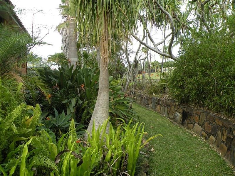 277 Agnes Street, The Range QLD 4700