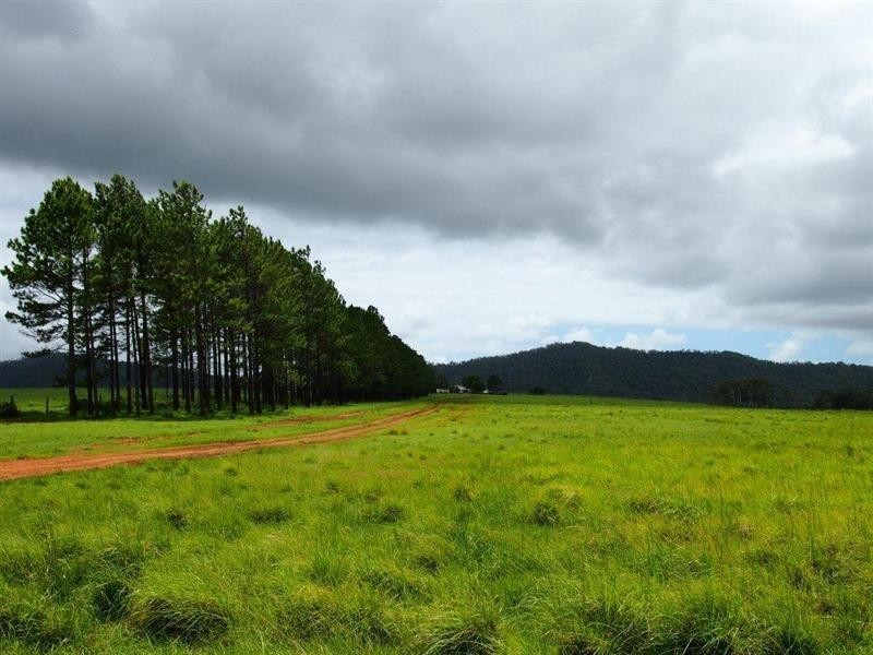 170 Lake Mary Road, Lake Mary QLD 4703