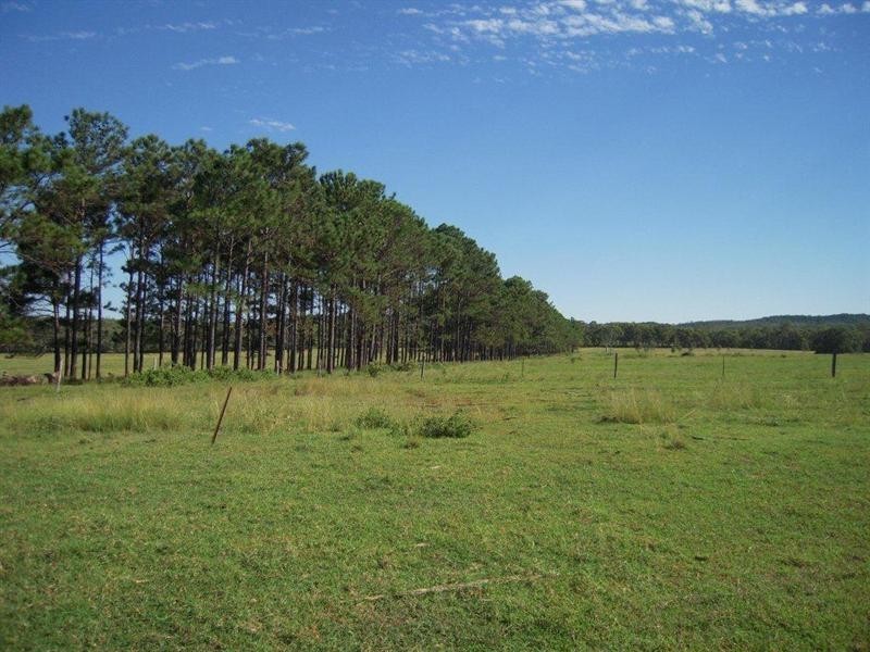 170 Lake Mary Road, Lake Mary QLD 4703