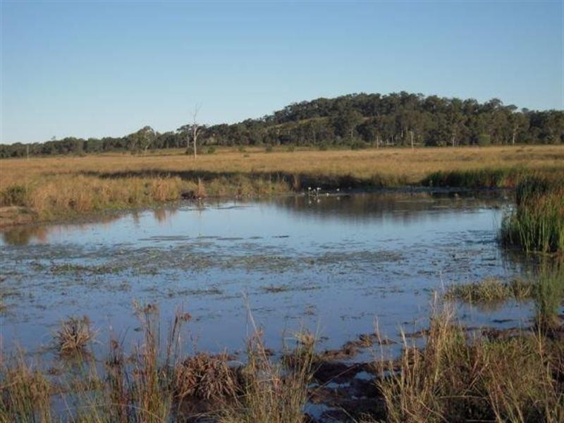 1863 Old Byfield Road, Lake Mary QLD 4703