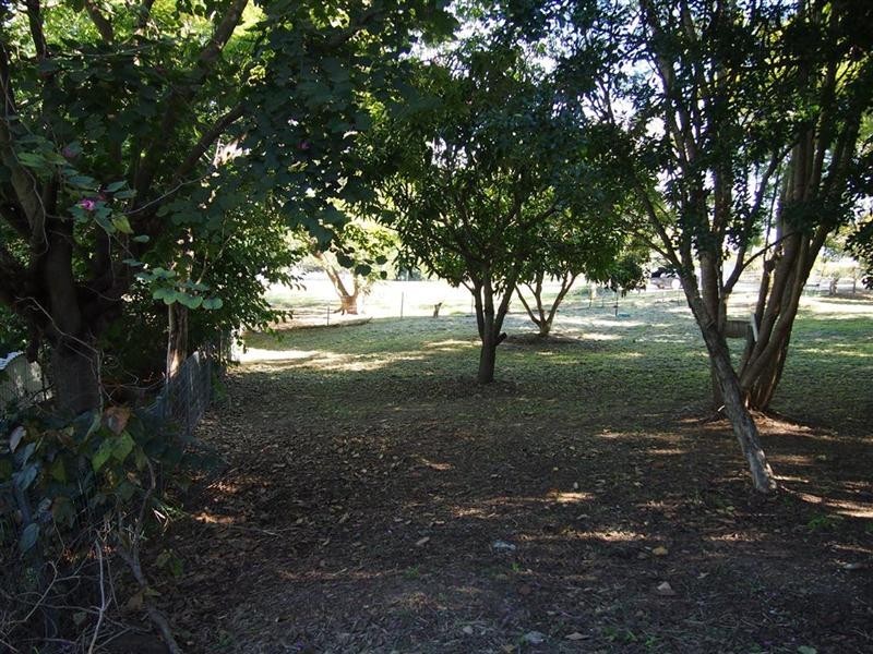 341 Agnes Street, The Range QLD 4700