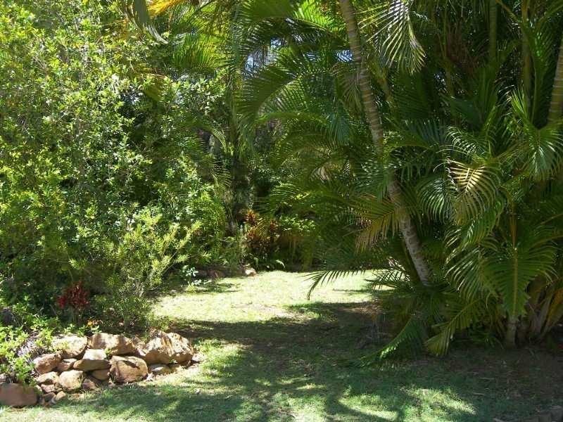 356 Shields Avenue, Frenchville QLD 4701