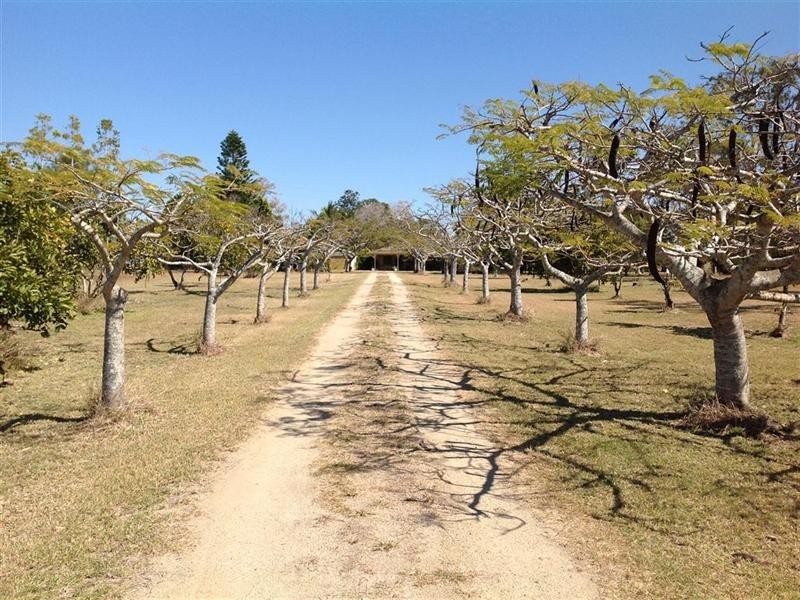 56 Greens Road, Alton Downs QLD 4702