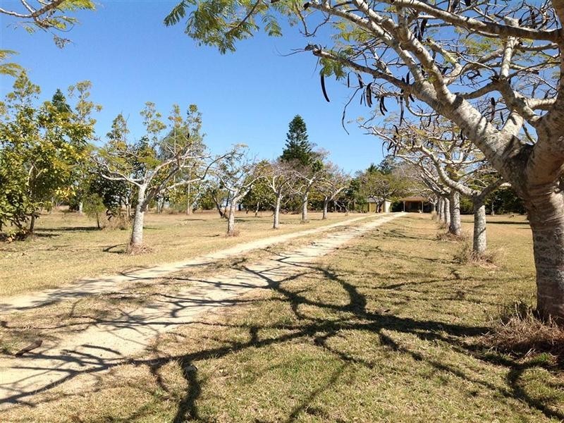 56 Greens Road, Alton Downs QLD 4702