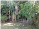 349 Mills Avenue, Frenchville QLD 4701