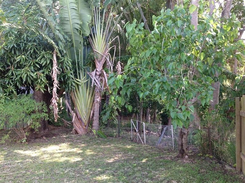349 Mills Avenue, Frenchville QLD 4701