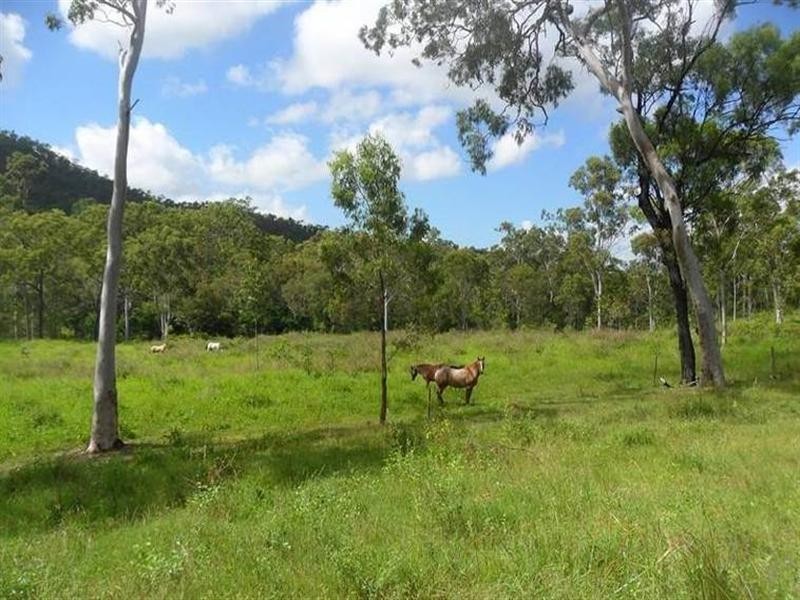 123 Arnold Road, Nerimbera QLD 4701