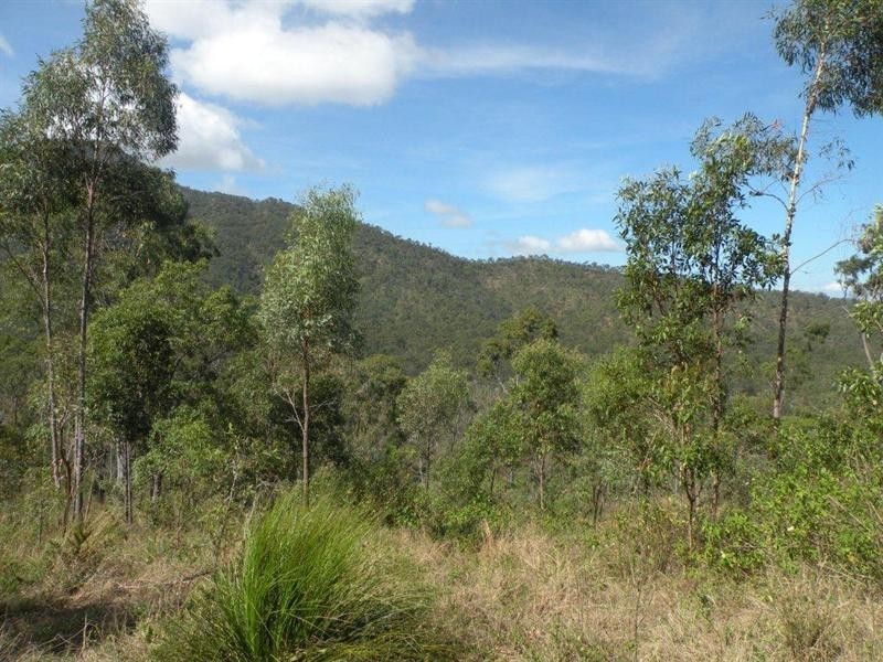 123 Arnold Road, Nerimbera QLD 4701