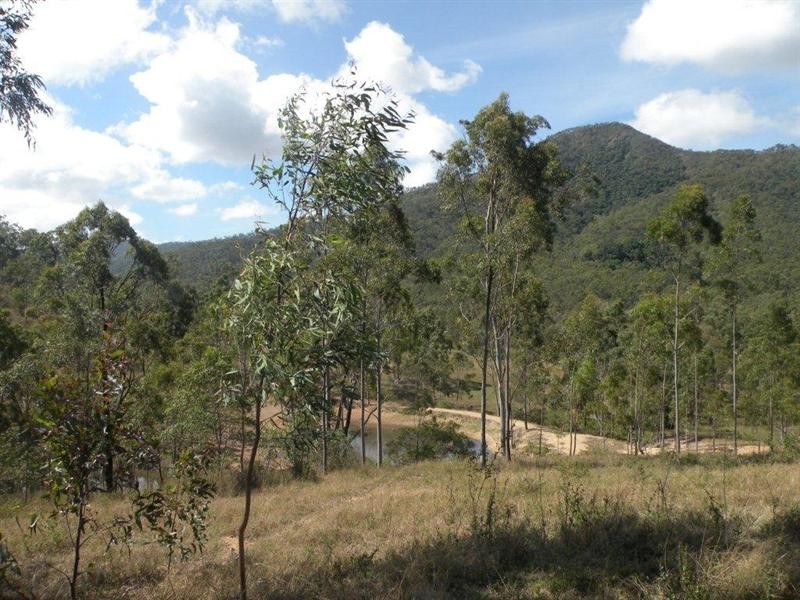 123 Arnold Road, Nerimbera QLD 4701