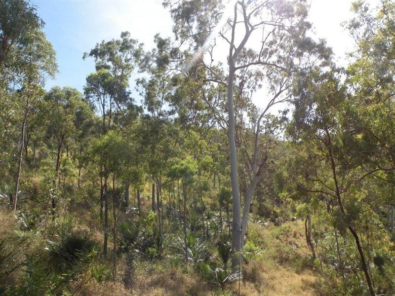 123 Arnold Road, Nerimbera QLD 4701