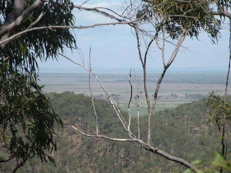 123 Arnold Road, Nerimbera QLD 4701