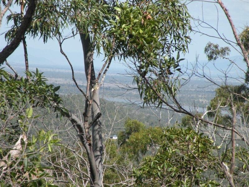 123 Arnold Road, Nerimbera QLD 4701