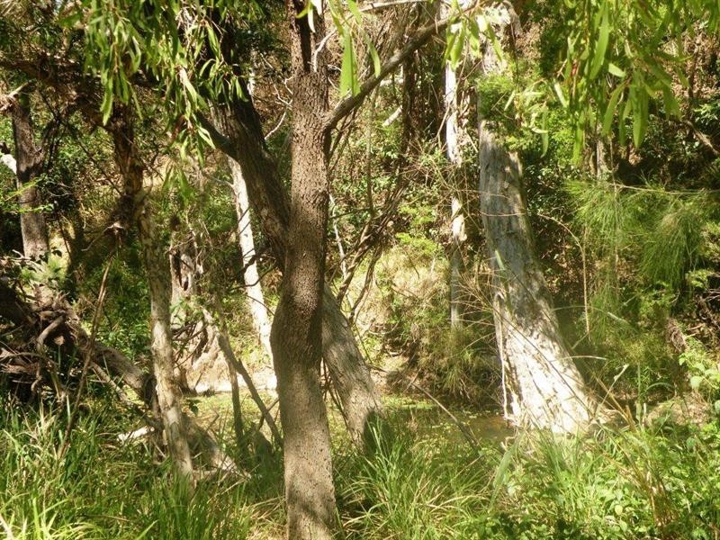 Lot 7 Maclyn Avenue, Belmont Creek Estate, Glenlee QLD 4711