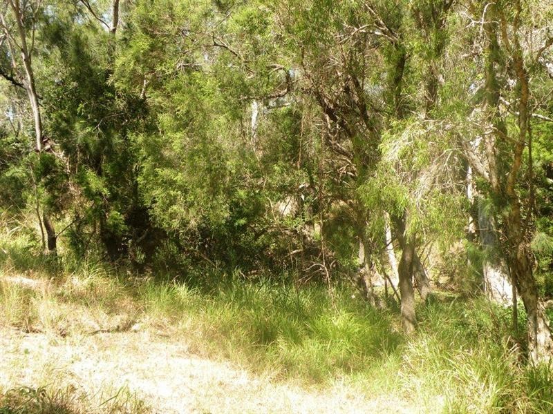 Lot 7 Maclyn Avenue, Belmont Creek Estate, Glenlee QLD 4711