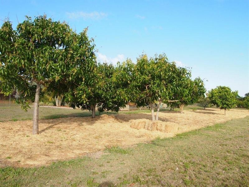 2 Jolinda Way, Rockyview QLD 4701