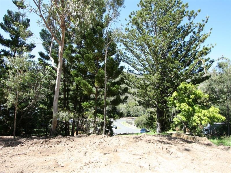 8 Rainbow Court, Frenchville QLD 4701