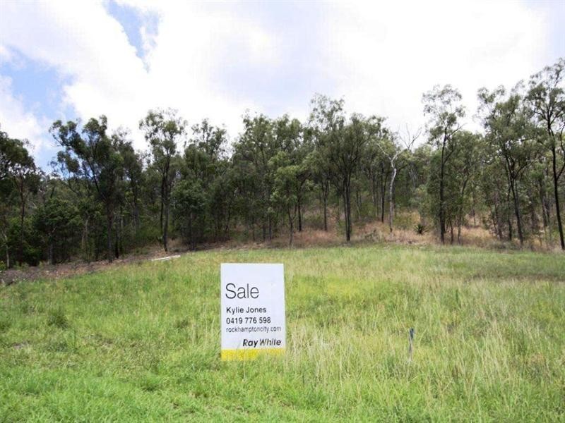 10 Stoneybrook Court, Frenchville QLD 4701