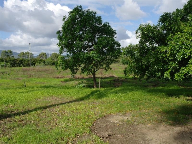 29 O’Connell Street, Depot Hill QLD 4700