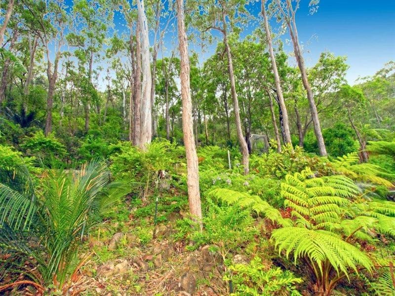 17 Cascade Close, Frenchville QLD 4701