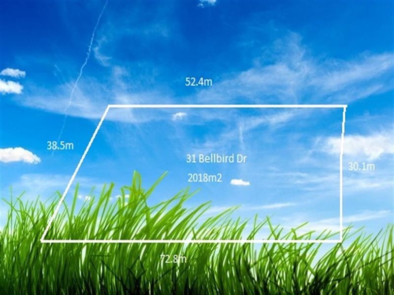 31 Bellbird Drive, Parkhurst QLD 4702