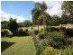 53 Spring Creek Close, The Caves QLD 4702
