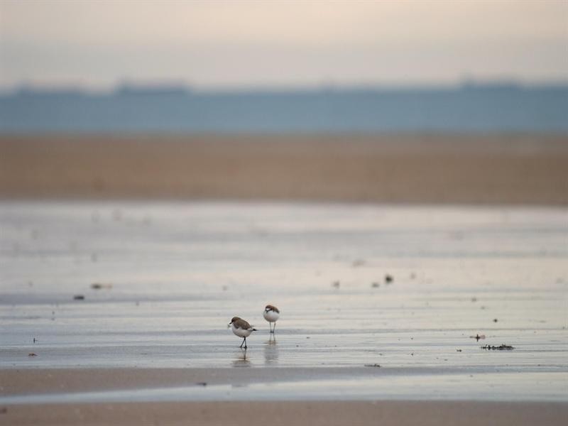 12 Howard Street, Hay Point QLD 4740