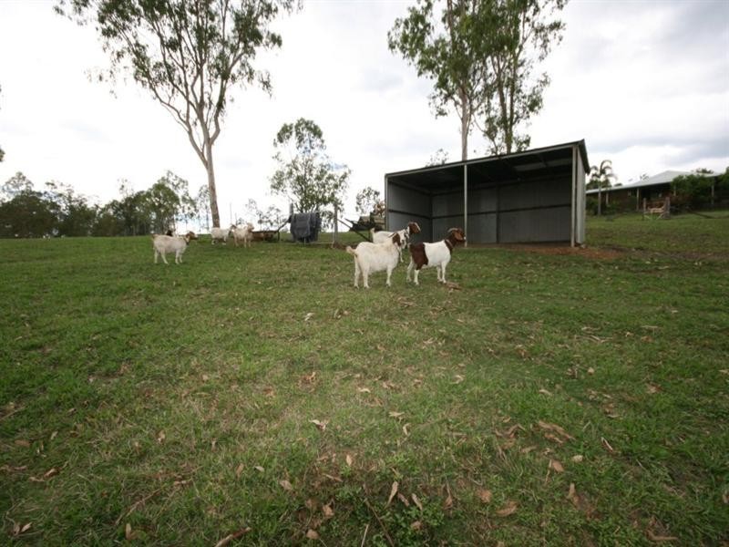 Sarina Range QLD 4737