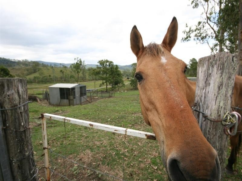 Sarina Range QLD 4737