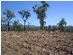 St Lawrence QLD 4707