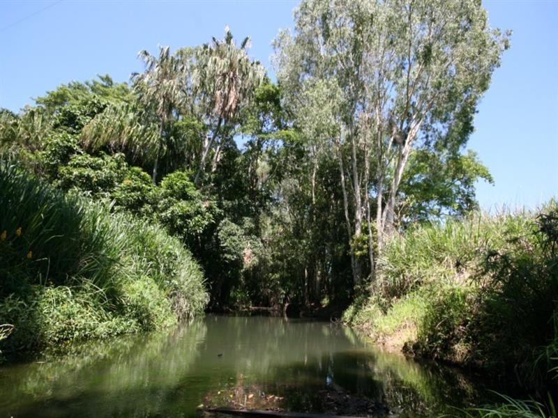 706 Grasstree Road, Grasstree Beach QLD 4740