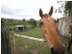 Sarina QLD 4737