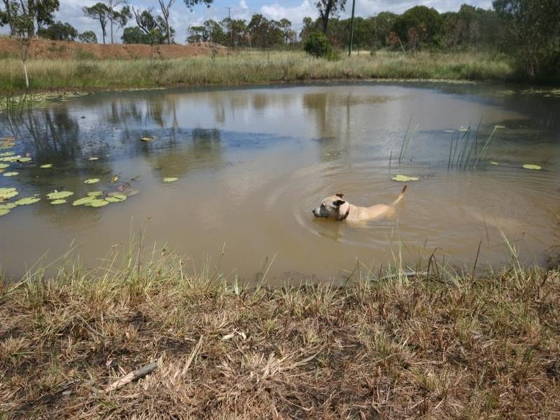 921 Greenhill Road, Ilbilbie QLD 4738