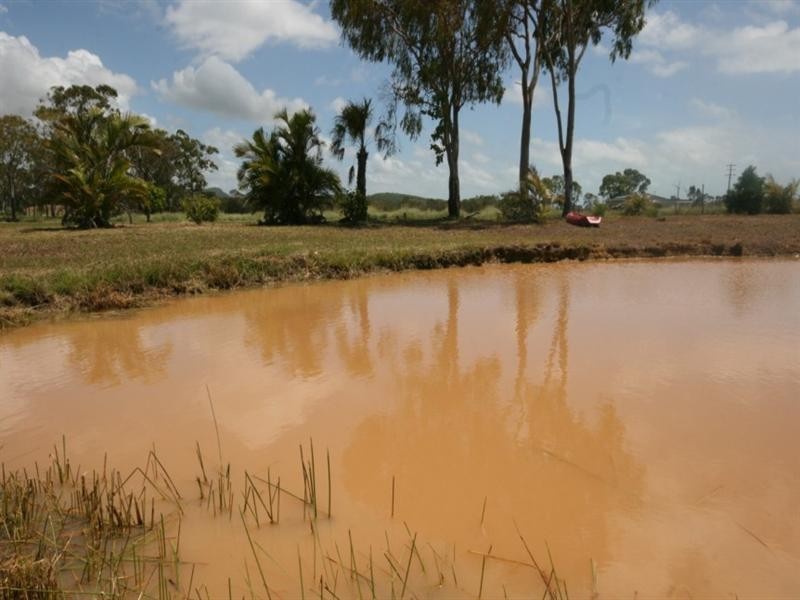 921 Greenhill Road, Ilbilbie QLD 4738