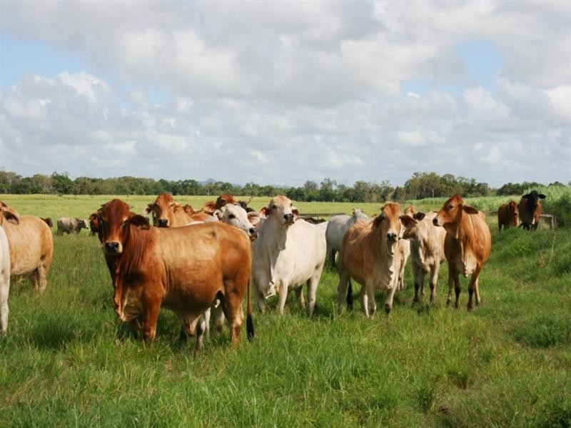 32 Perry Road, Sarina QLD 4737
