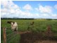 32 Perry Road, Sarina QLD 4737