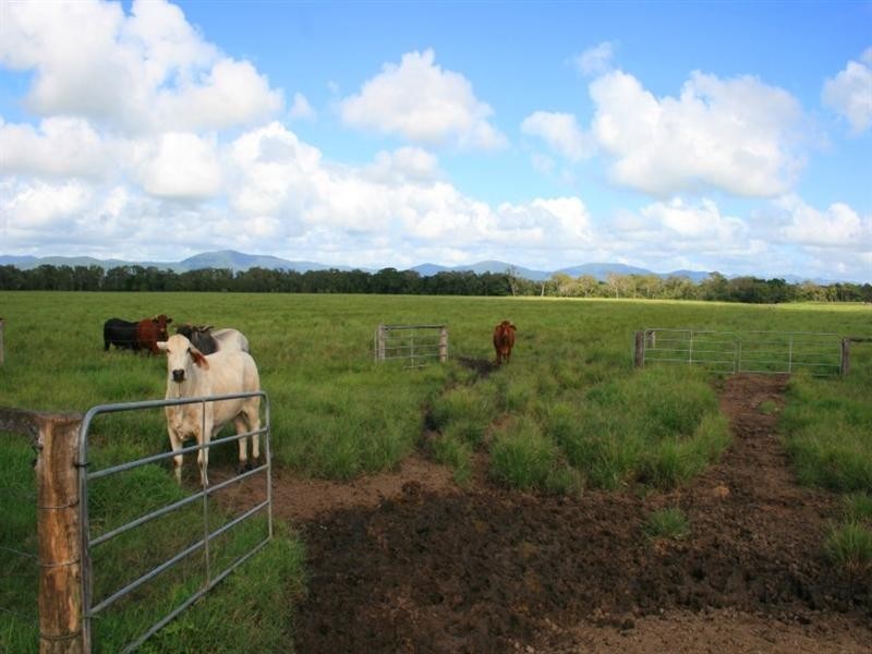 32 Perry Road, Sarina QLD 4737