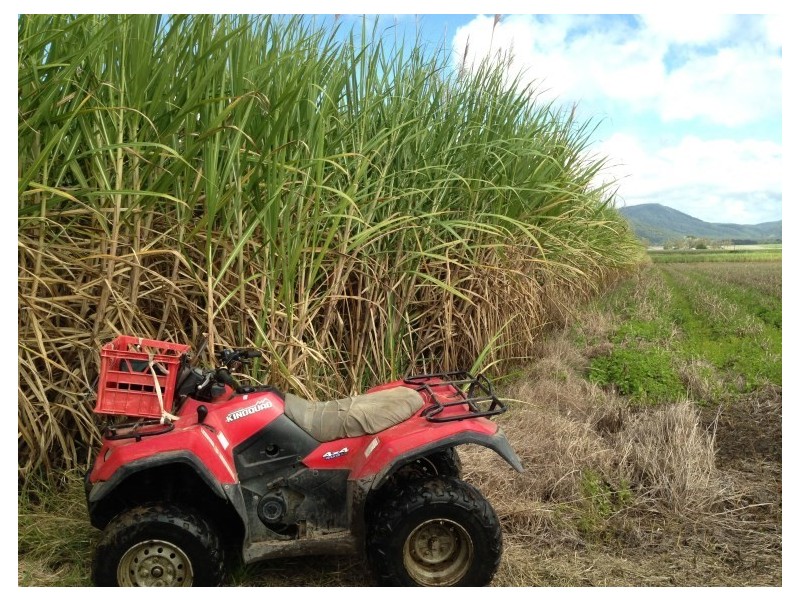 0 Menso Road, Sarina QLD 4737