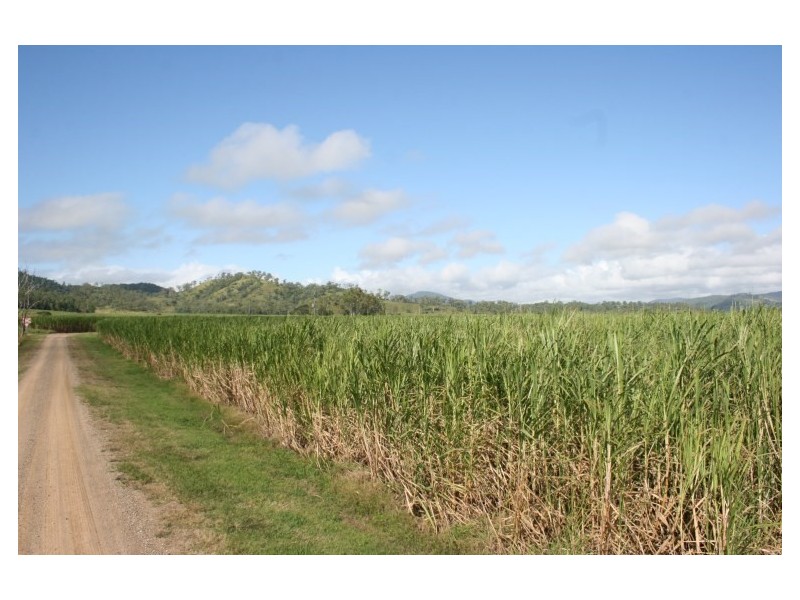 0 Menso Road, Sarina QLD 4737