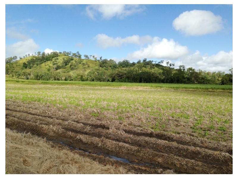 0 Menso Road, Sarina QLD 4737