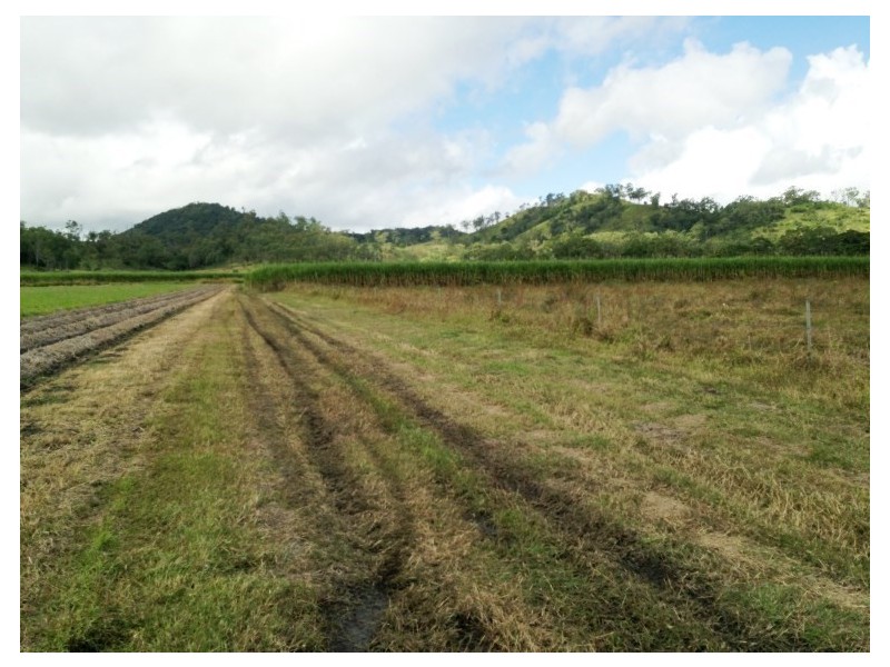 0 Menso Road, Sarina QLD 4737